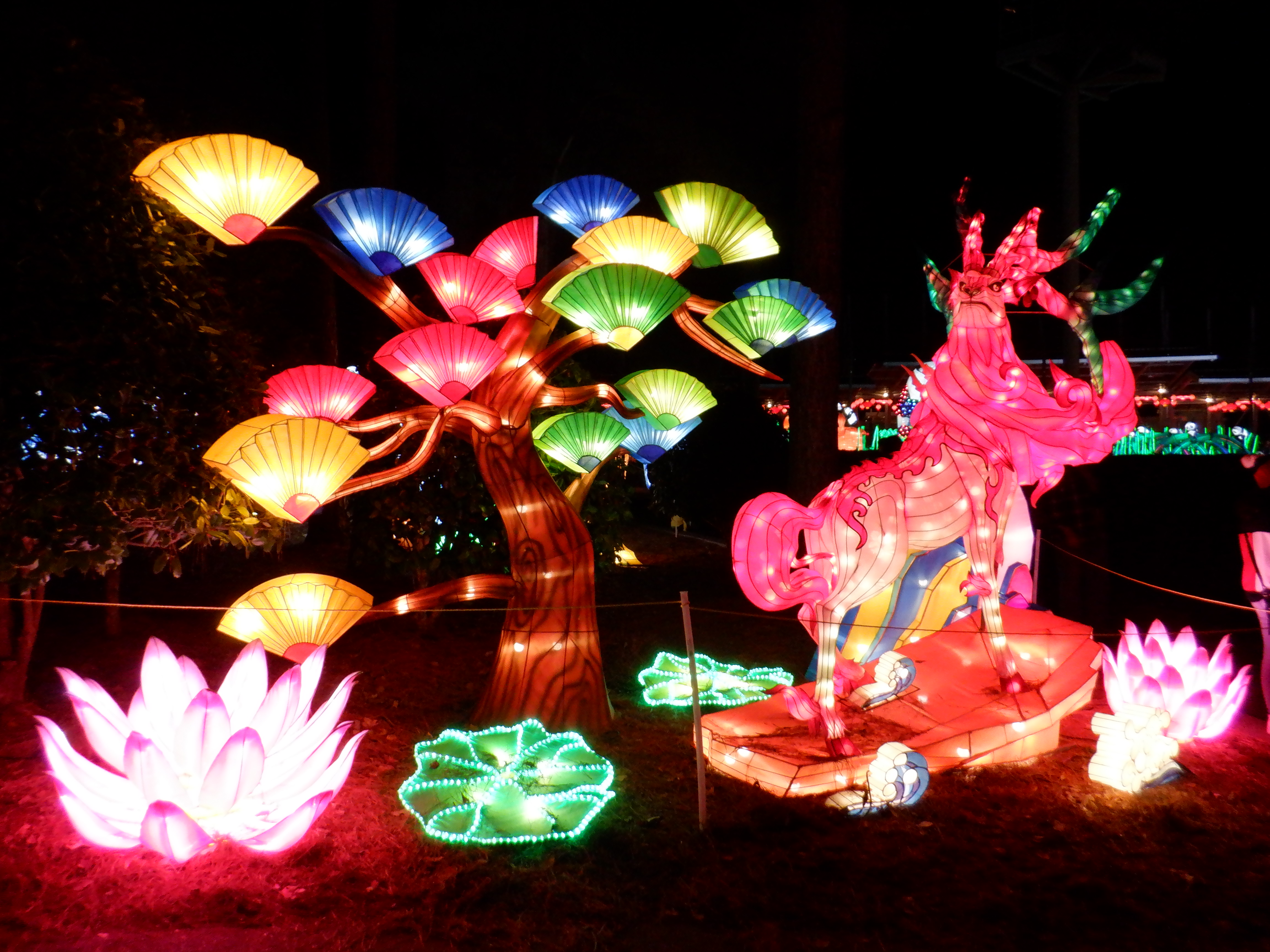 ./2019/16 - Chinese Lantern Festival/DSCF0779.JPG